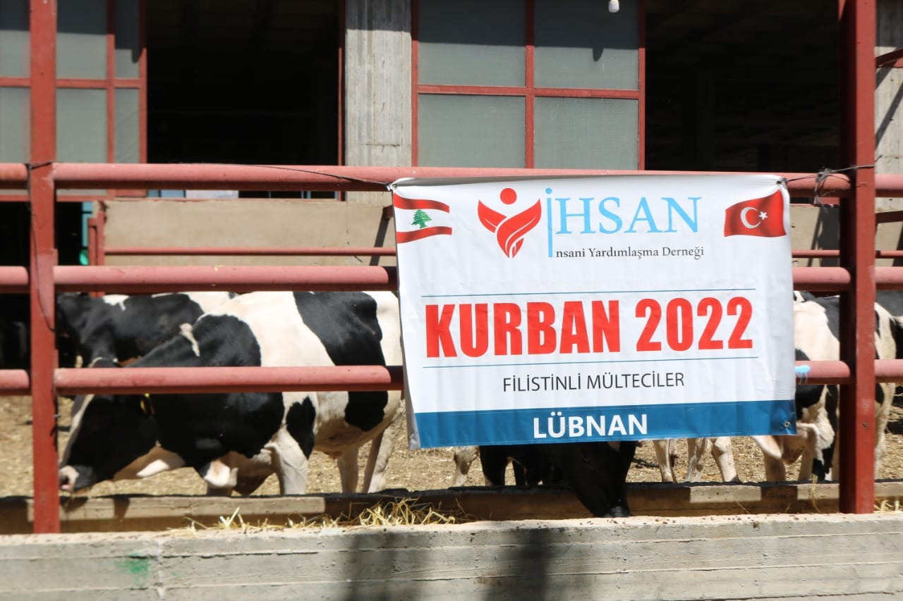 الاستعدادات لمشروع الأضاحي لعام ٢٠٢٢