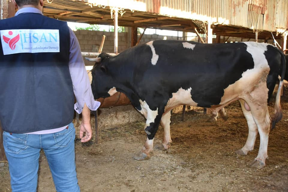 الاستعدادات لمشروع الأضاحي لعام ٢٠٢٢