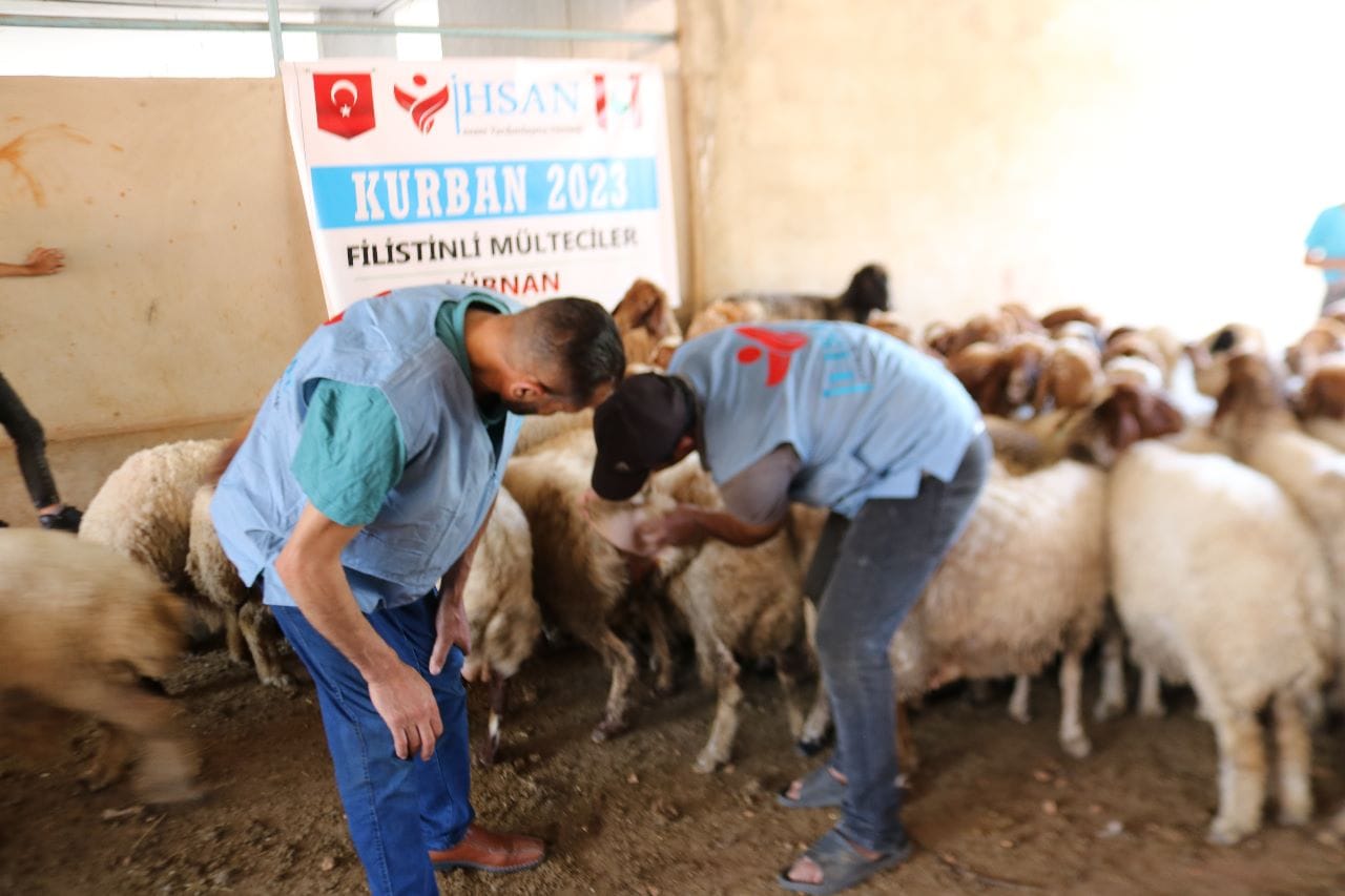 احسان للإغاثة الانسانية بدأت تحضيرات مشروع الأضاحي لعام 2023