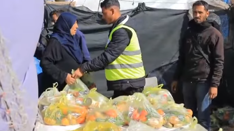 توزيع 200 سلة خضروات وغذائية على النازحين جنوب القطاع